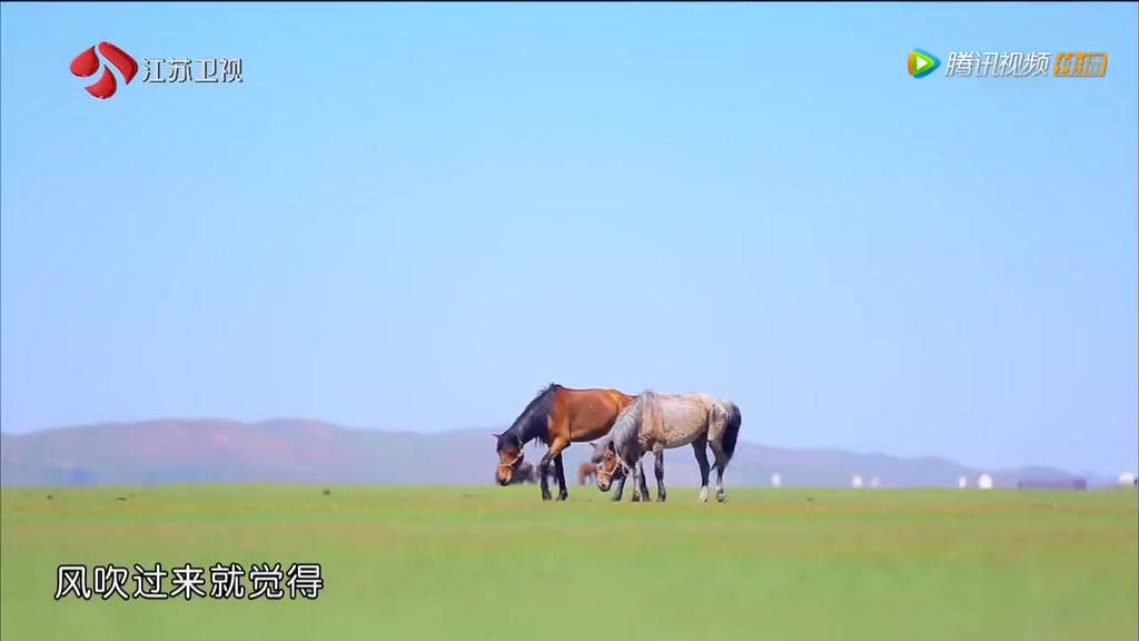 明道 王鸥 草原 约会 剪辑cut1哔哩哔哩bilibili