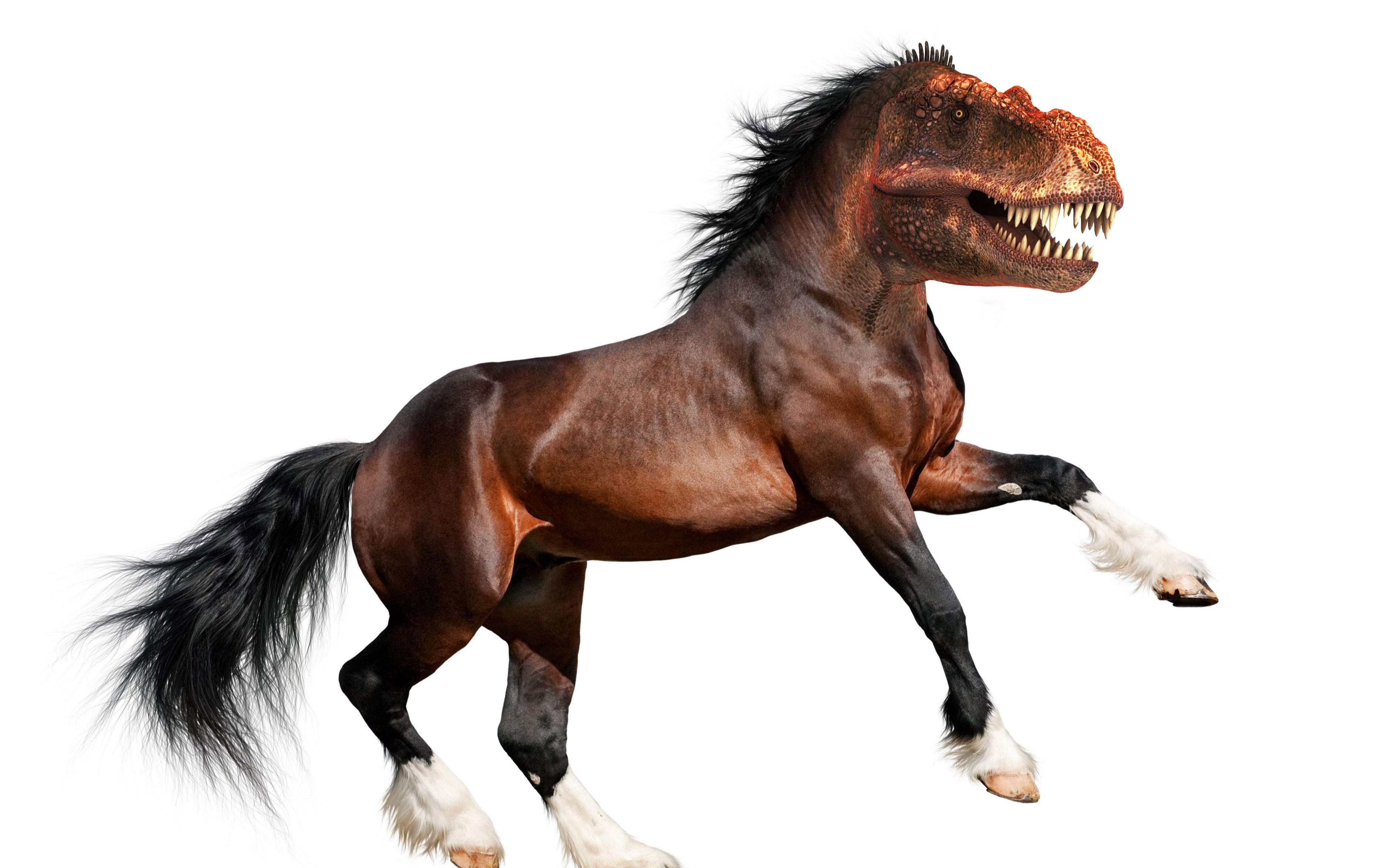 祝你龙马精神还是霸气的龙马精神,你应该没看到过这样的,哈