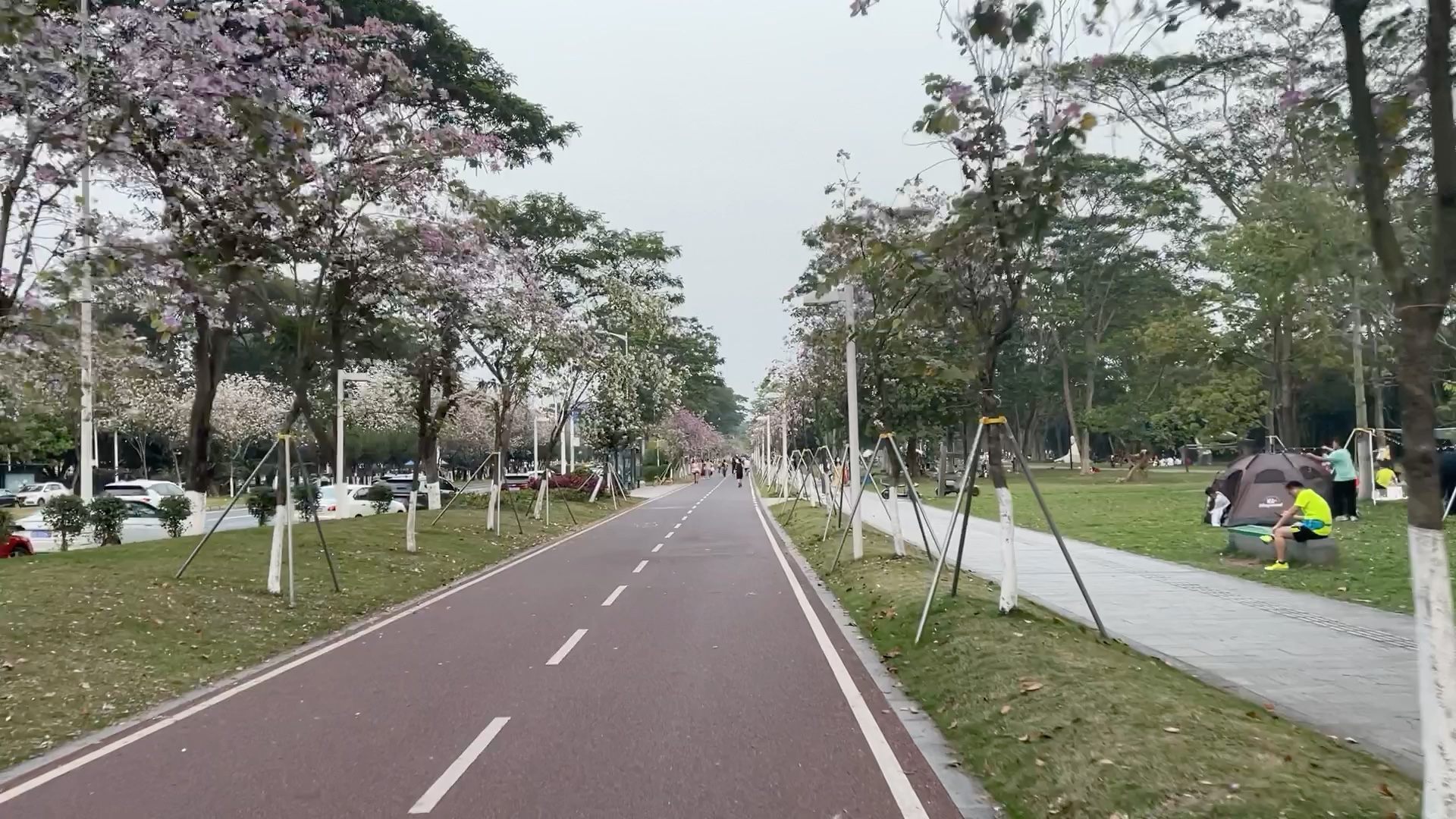 广州大学城外环绿道