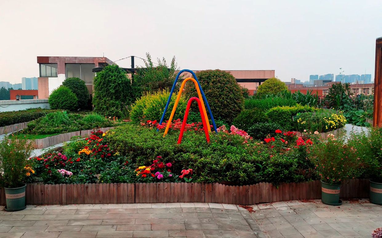 电子科技大学五感花园春风花草香