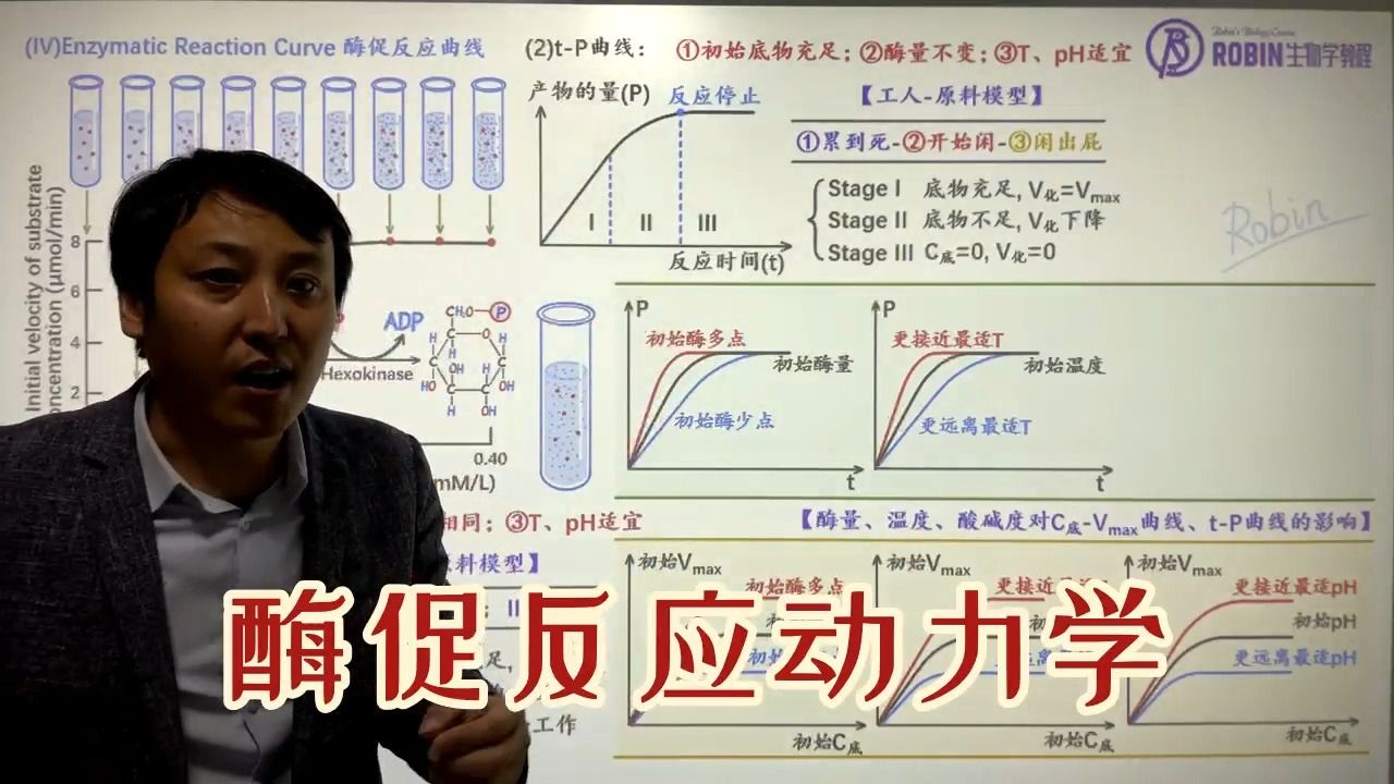 018酶促反应动力学:①CV曲线;②tP曲线;③工人原料模型哔哩哔哩bilibili