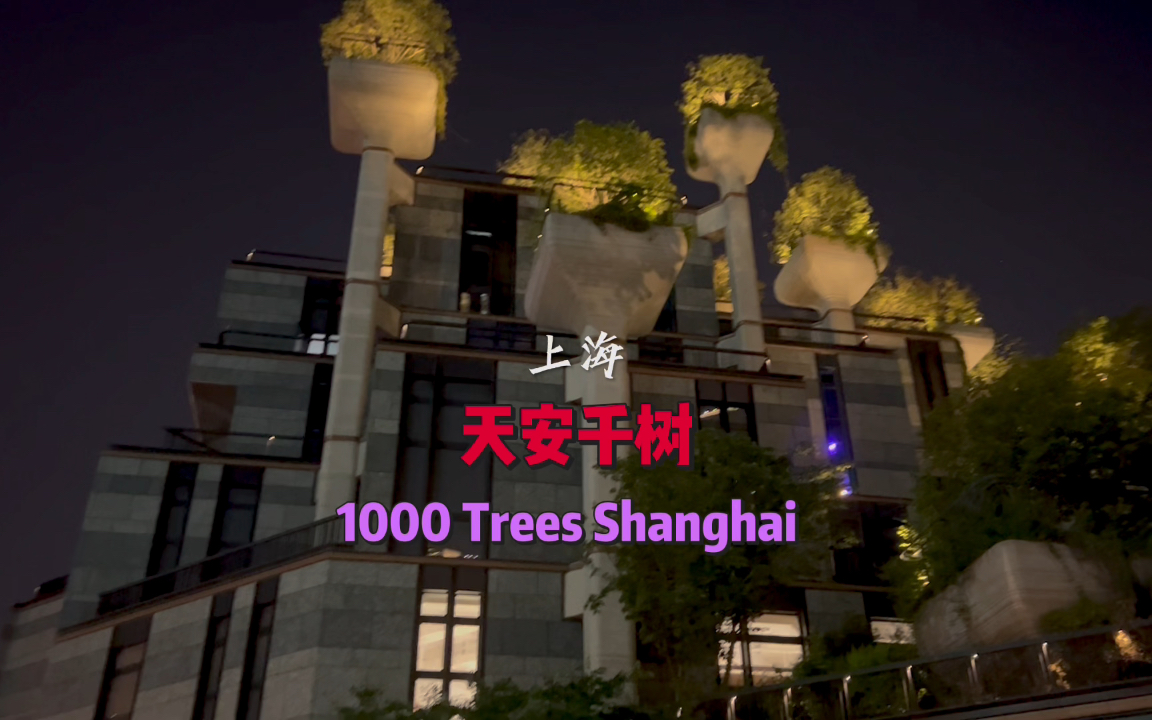 上海天安千树 1000 Trees Shanghai哔哩哔哩bilibili