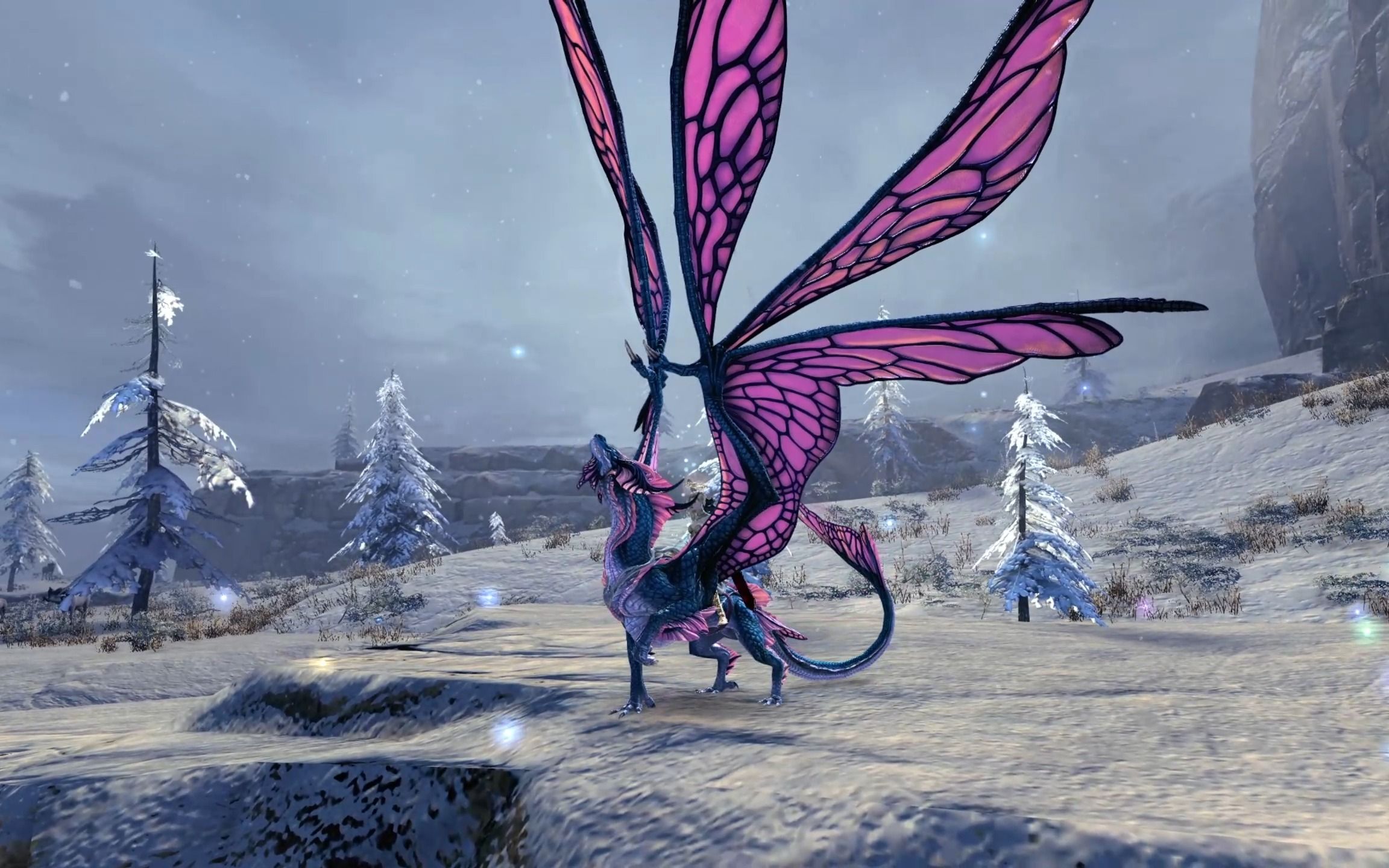 激战2 刚做出的飞龙 坐骑系统果然不一样