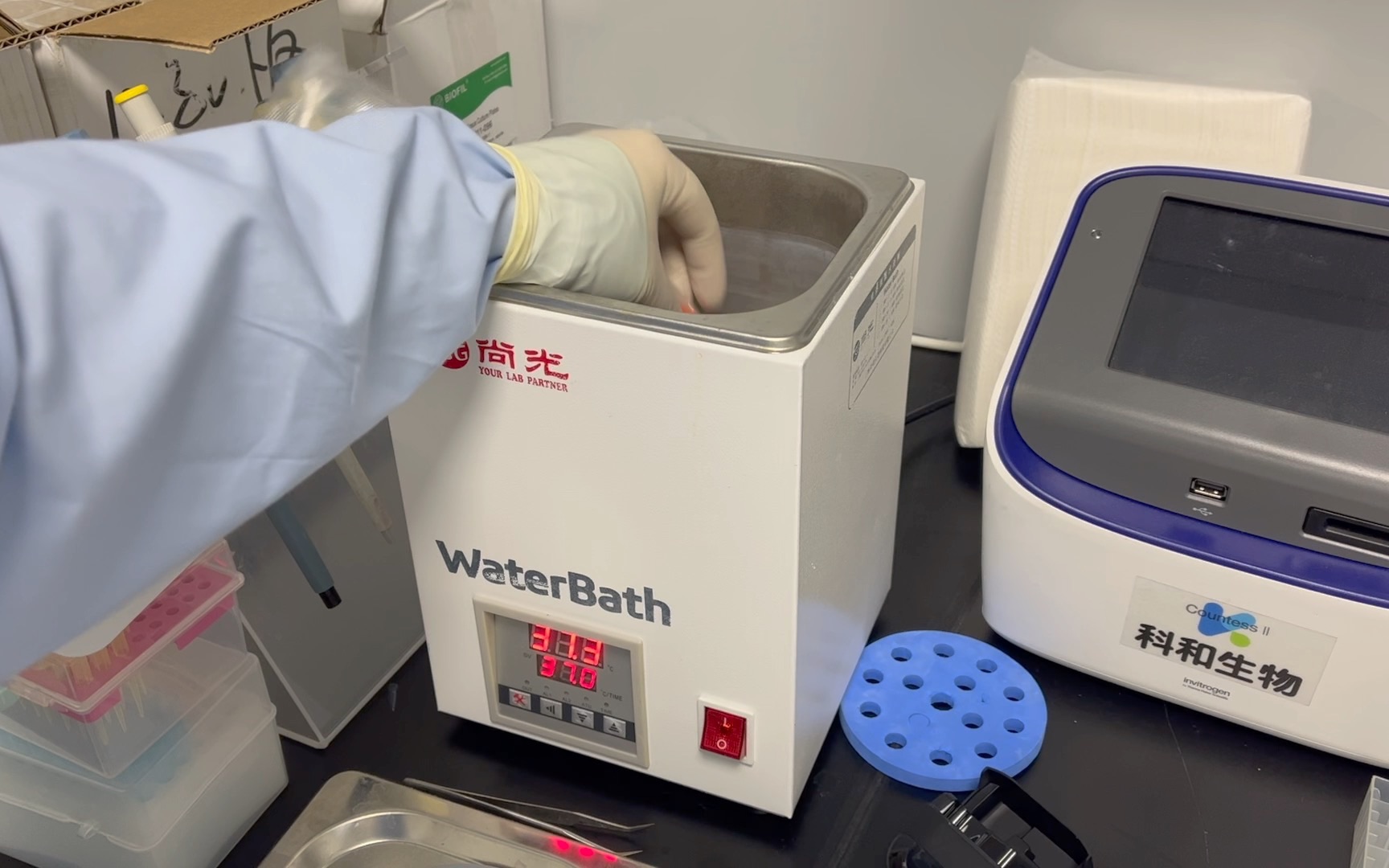 【科和生物】细胞复苏