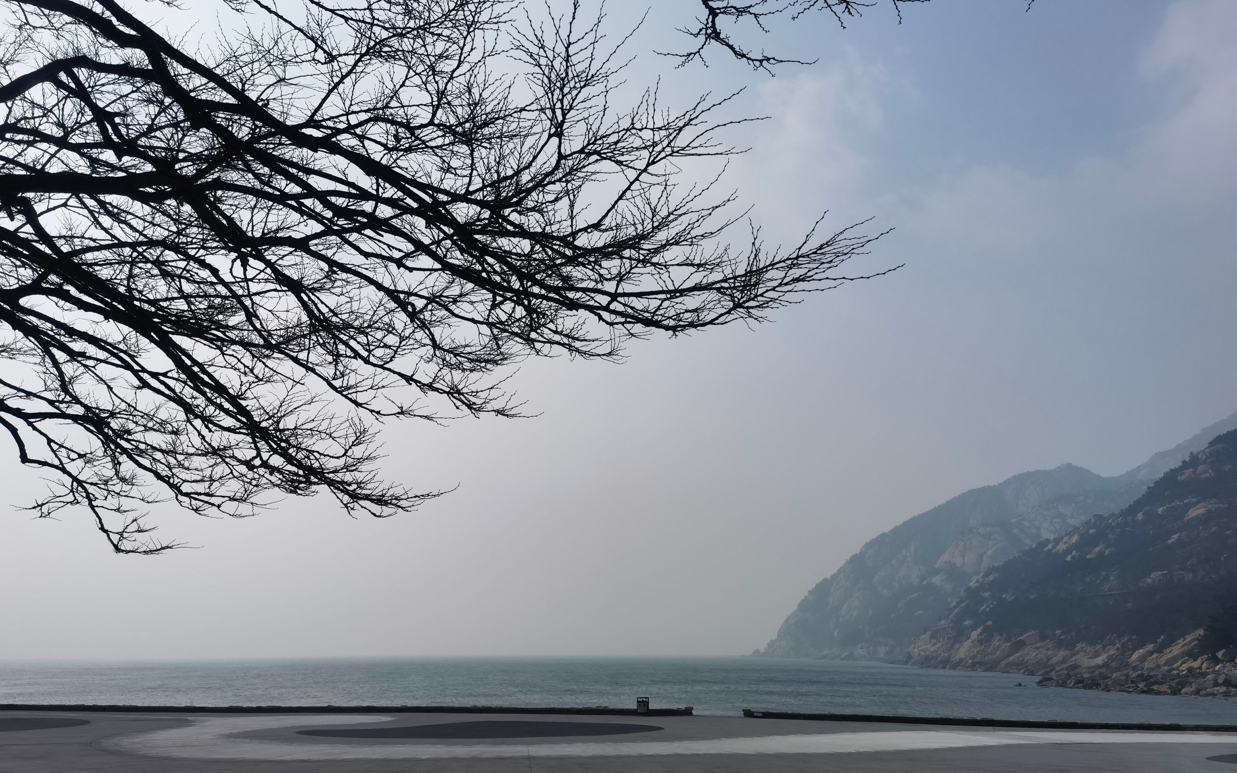 高山大海挡不住图片