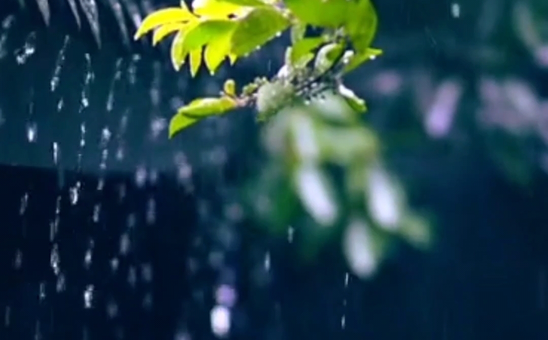 [图]我渴望远方的风，向往自由的雨，行走有你的路