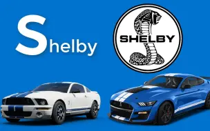 Скачать видео: S for Shelby|搞笑短片