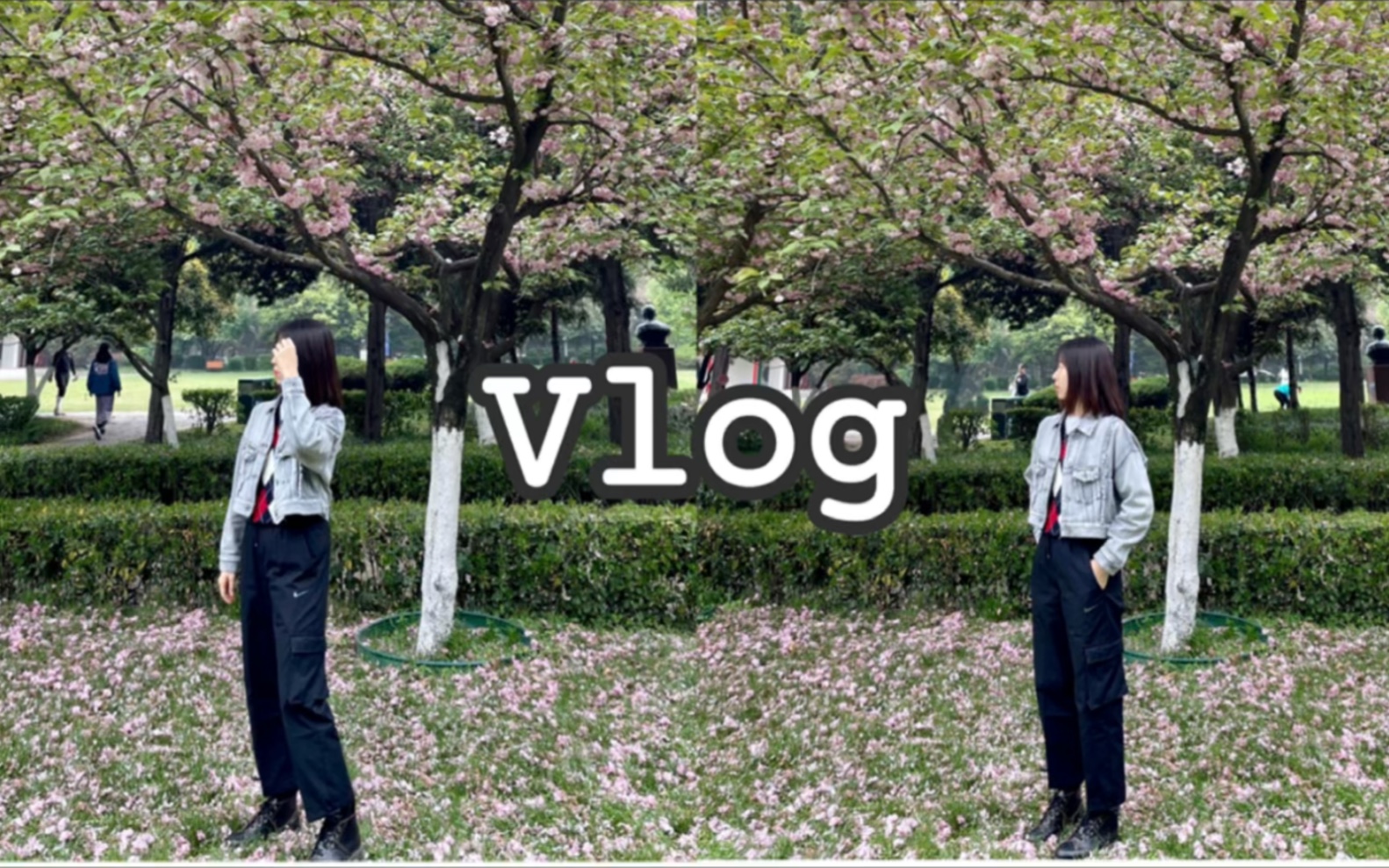 【Ai vlog】法学研究生日常哔哩哔哩bilibili