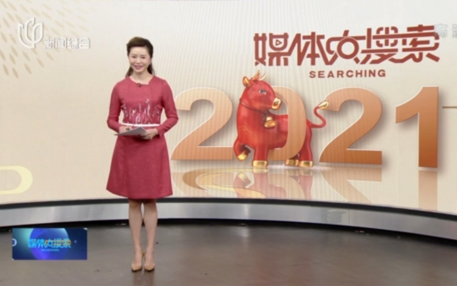 20210212stv新闻综合频道《媒体大搜索》春节假期版包装 op/预告/ed