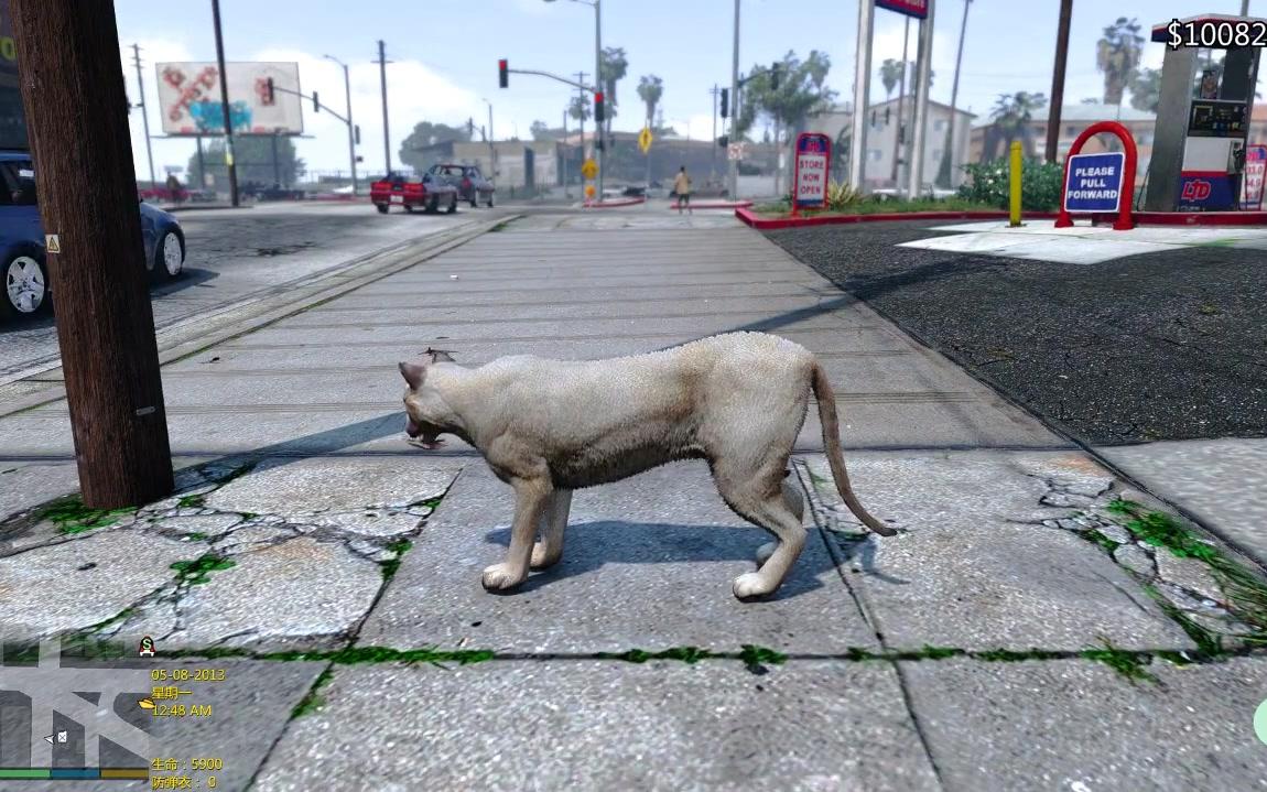 gta5 见过山狮会开摩托车吗?_哔哩哔哩_bilibili