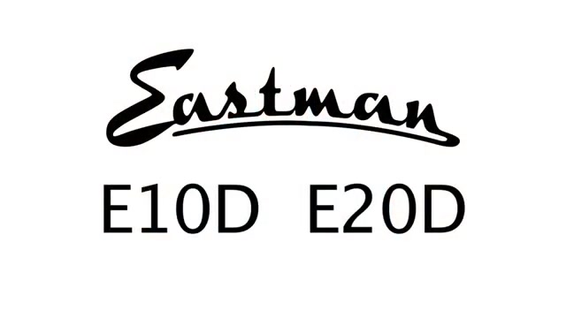 【吉他测评】吉他对比 伊斯特曼 eastman e20d vs eastman e10d