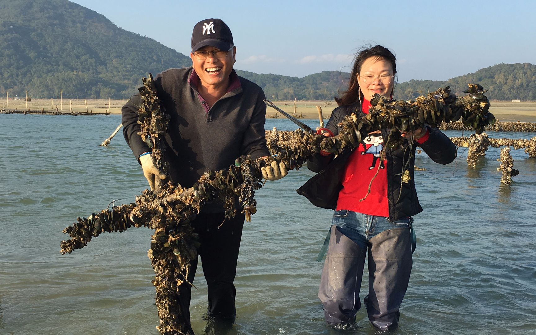 闲牛带女同学赶海运气爆棚,海货多到两桶装不下,全部做来吃过瘾