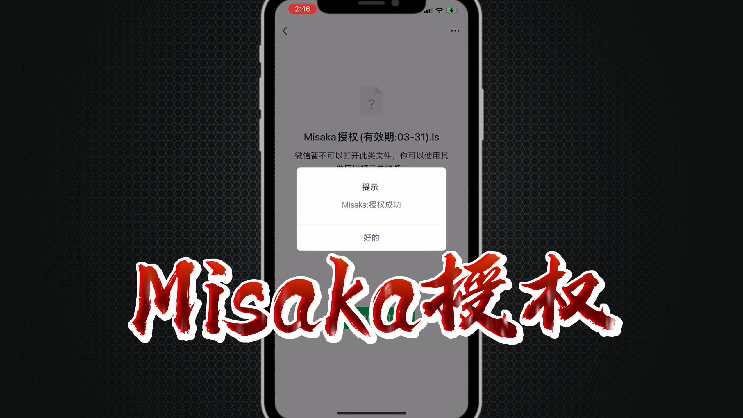 Misaka插件授权文件使用教程哔哩哔哩bilibili