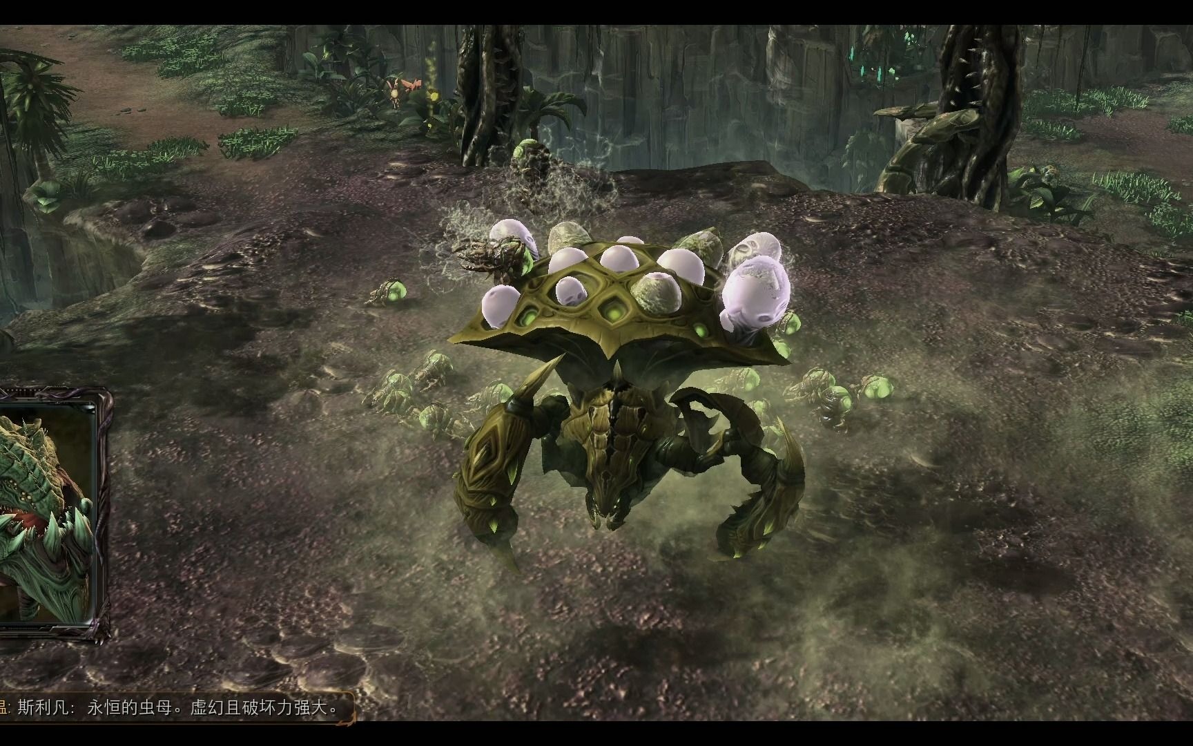 《星际争霸2随机人物》 虫群之心 zerg 12 至尊霸主