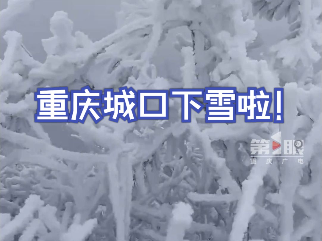 出门耍雪去!重庆城口大雪纷飞 ~哔哩哔哩bilibili