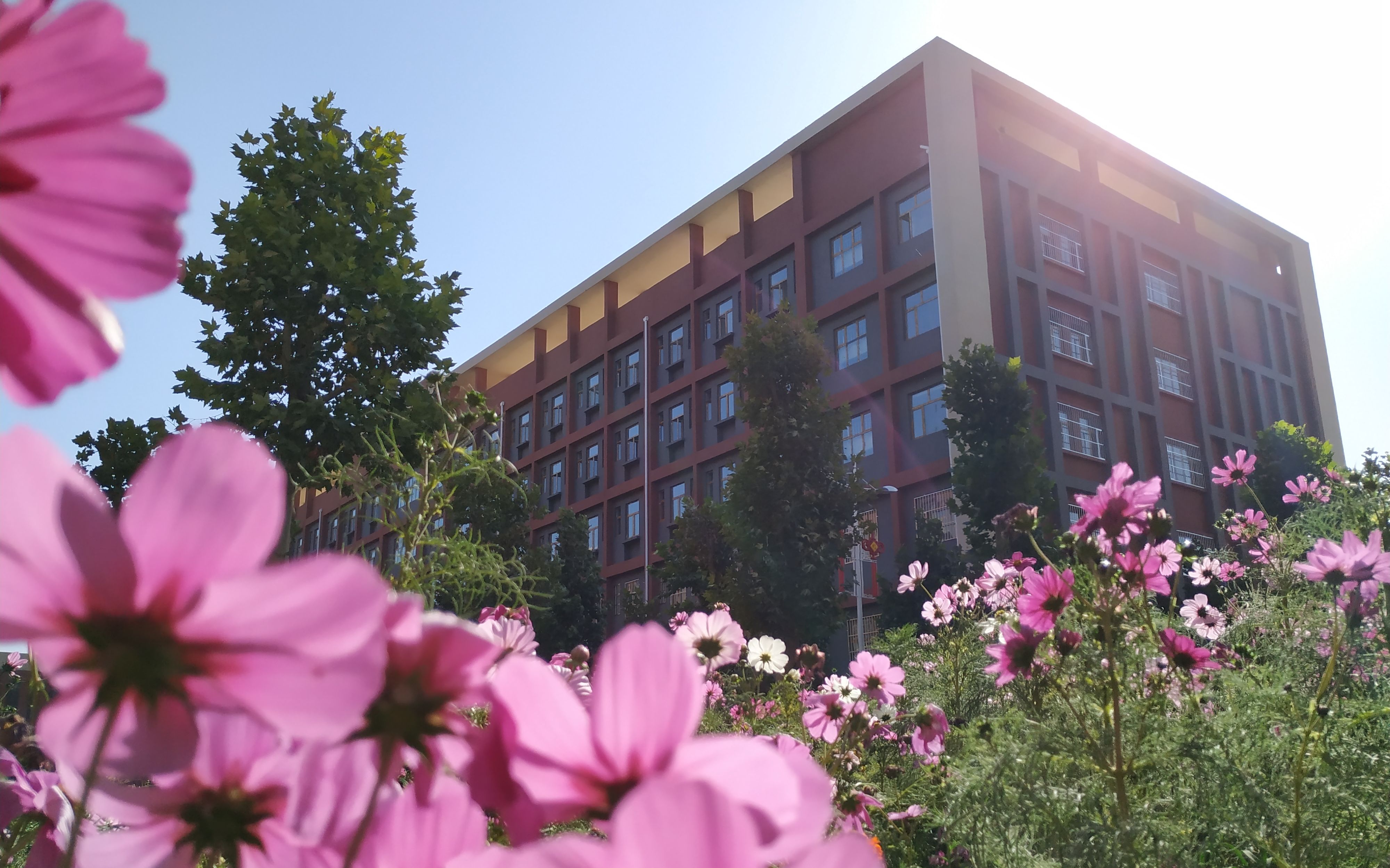 衡水安平志臻中学2020元旦晚会花开中国