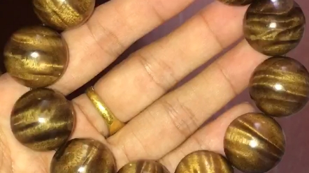 小叶金丝楠,龙胆纹哦owo