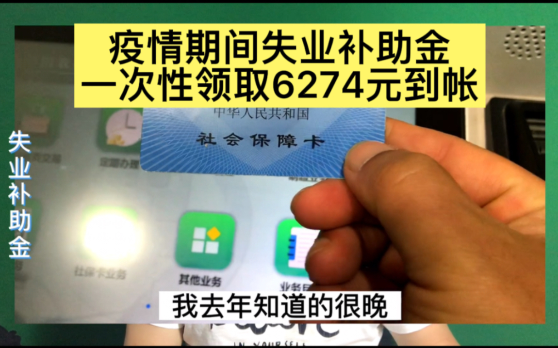 去年12月申请的失业补助金,今年2月一次性补贴6个月6274元已到账哔哩哔哩bilibili