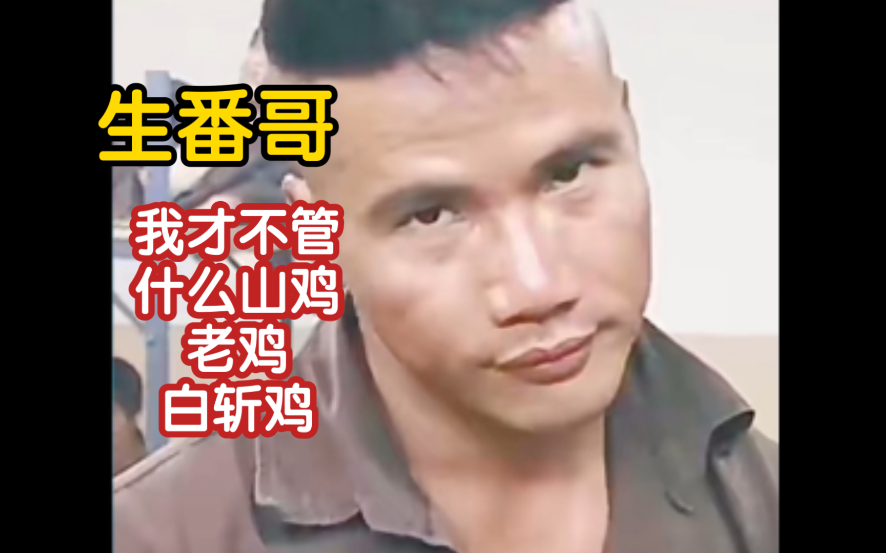 生番哥高光片段