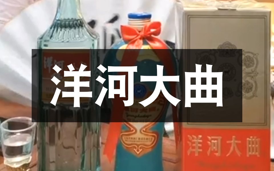 洋河大曲哔哩哔哩bilibili