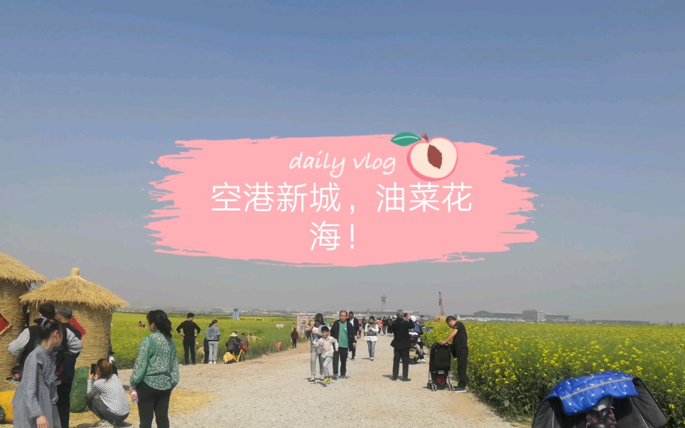 西咸新区空港新城千亩油菜花海
