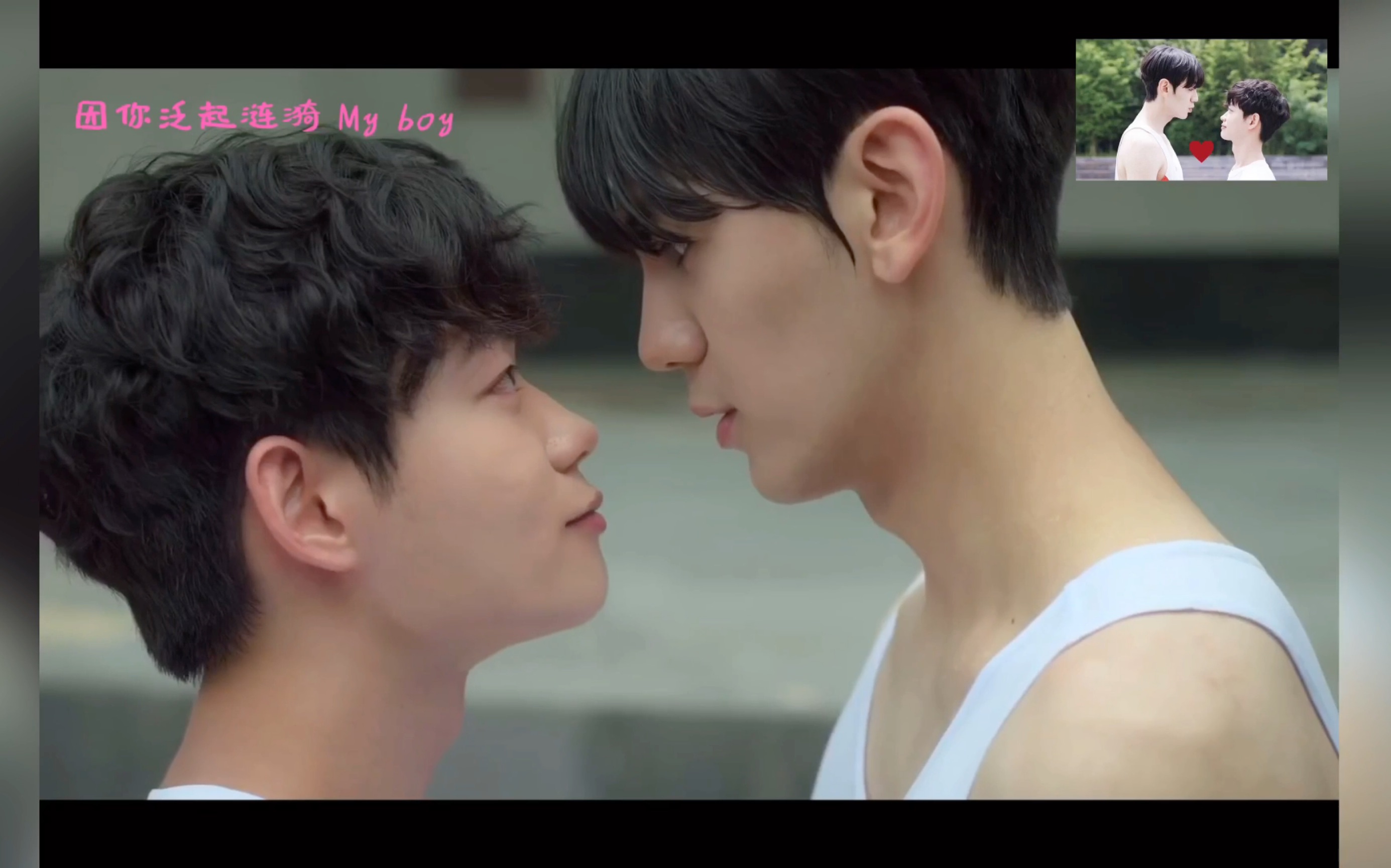 韩剧/匆匆心动 超有爱的两只 mr.heart