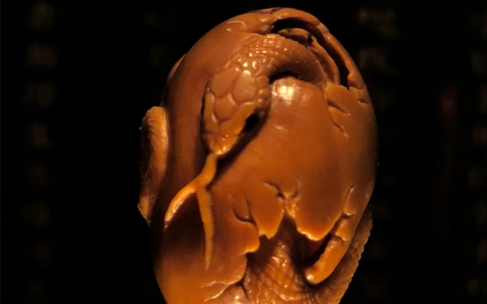 橄榄核雕刻生肖蛇