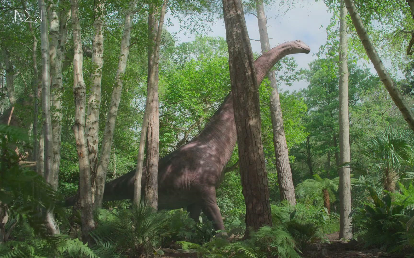 《史前星球》精彩片段:庞然大物