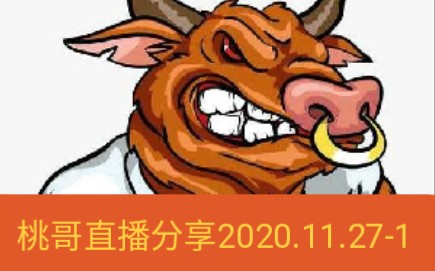 桃哥直播分享2020.11.27前一小时哔哩哔哩bilibili