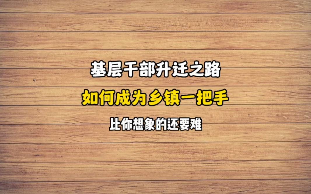 如何成为乡镇一把手?基层升迁之路有多么难!哔哩哔哩bilibili