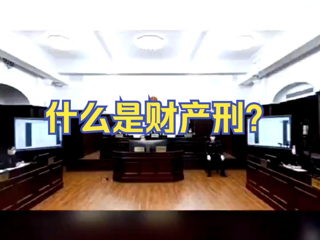 什么是财产刑?天津刑事律师哔哩哔哩bilibili