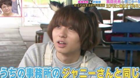 蘑菇力 天才志村动物园伊野尾慧知念侑李cut 中字