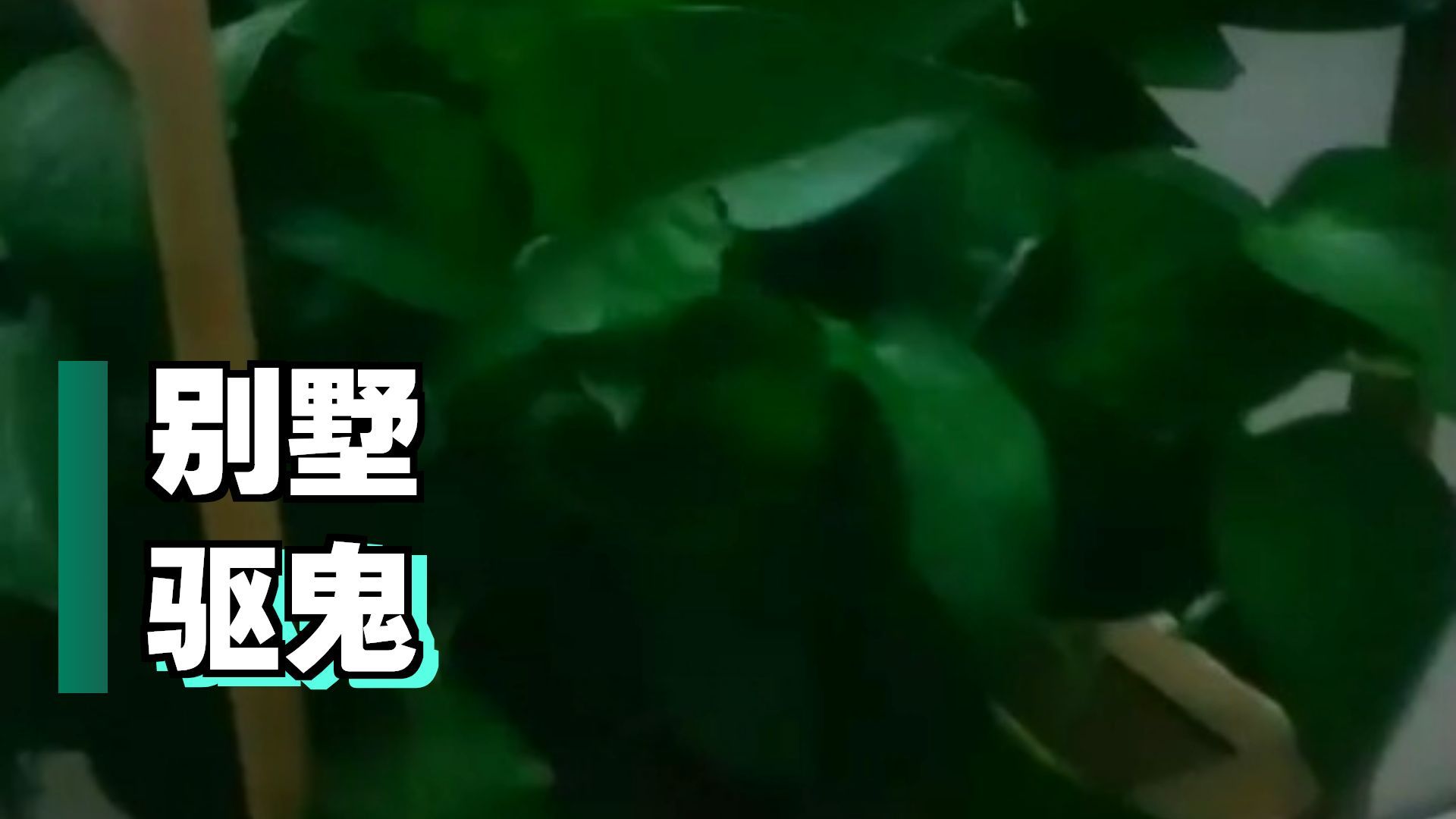 夜探豪华别墅闹鬼  26.9.2     户外探险大壮