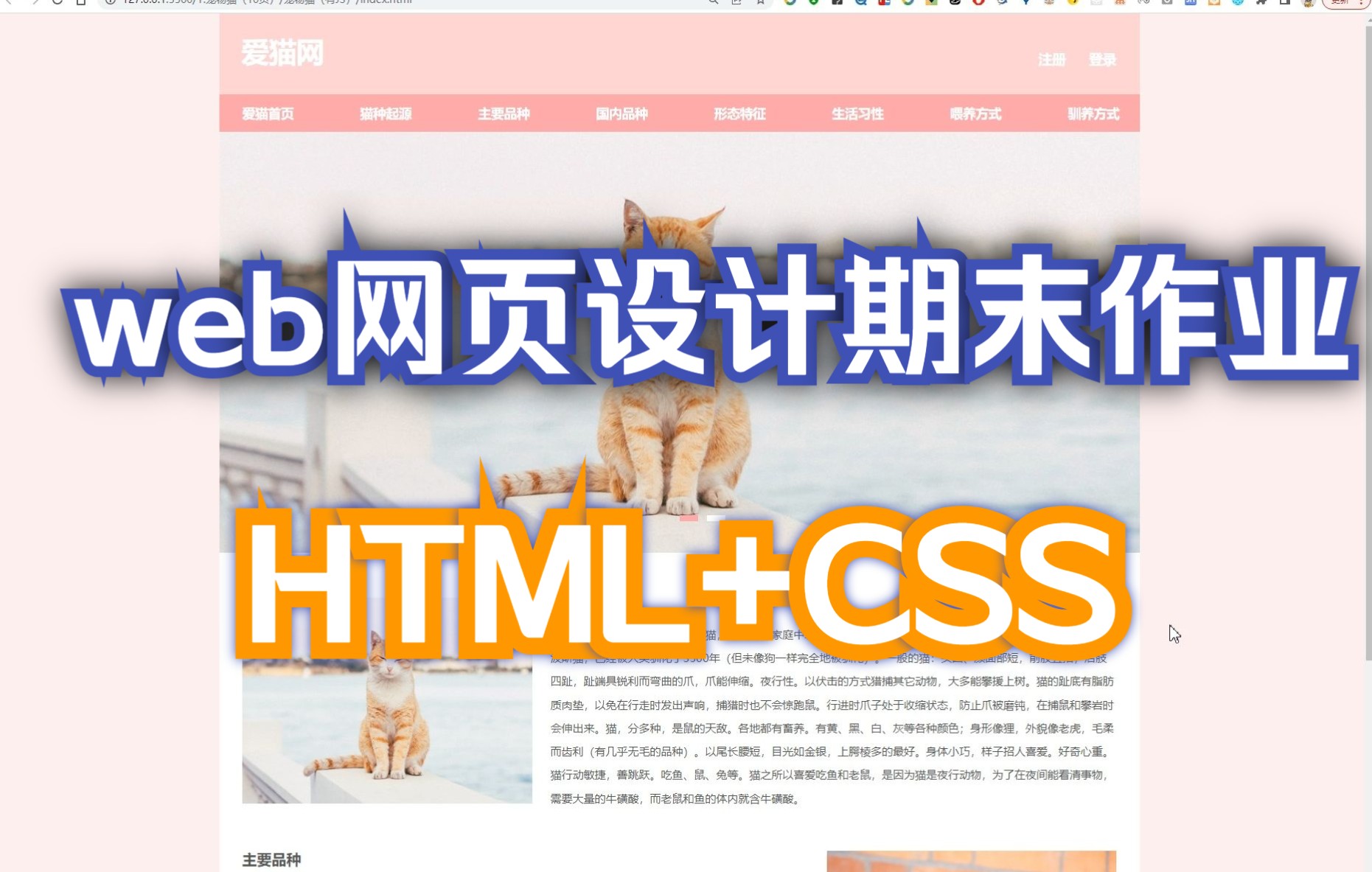 【网页设计期末大作业】HTML+CSS+JS 宠物猫(10页)哔哩哔哩bilibili