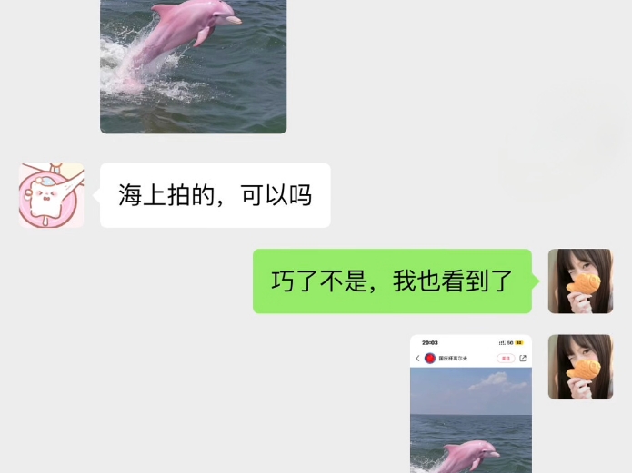 网图别找我哔哩哔哩bilibili