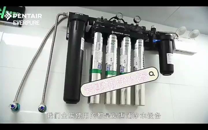 爱惠浦everpure商用净水器自来水过滤器奶茶店净水机过滤器MC2哔哩哔哩bilibili