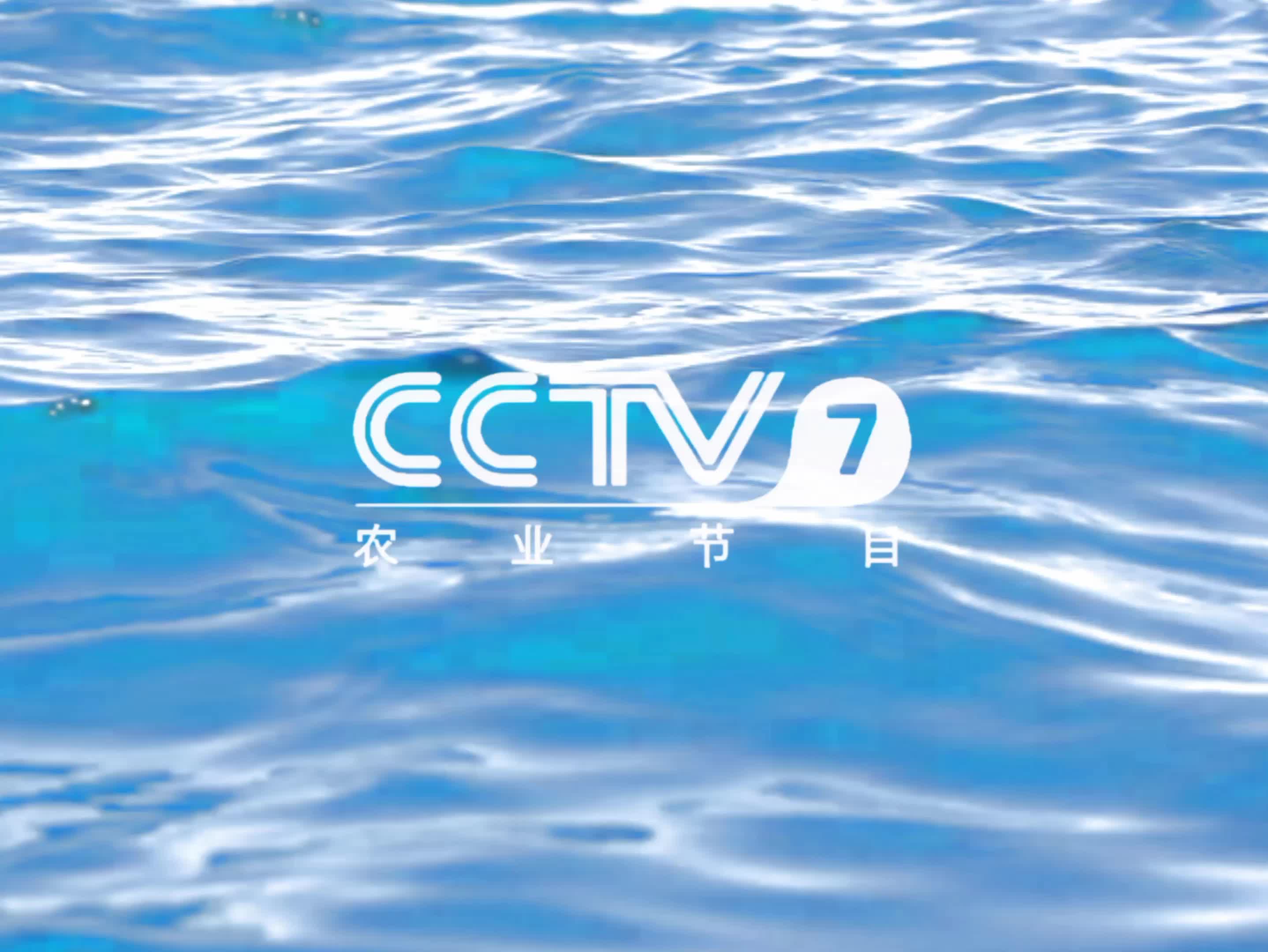 2005年cctv7农业节目id水面篇