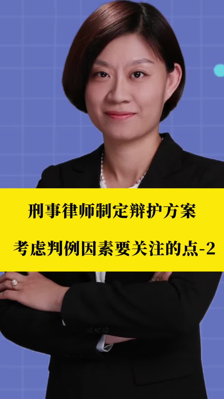 刑事律师李扬博士:刑事律师制定辩护方案考虑判例因素关注的点2哔哩哔哩bilibili