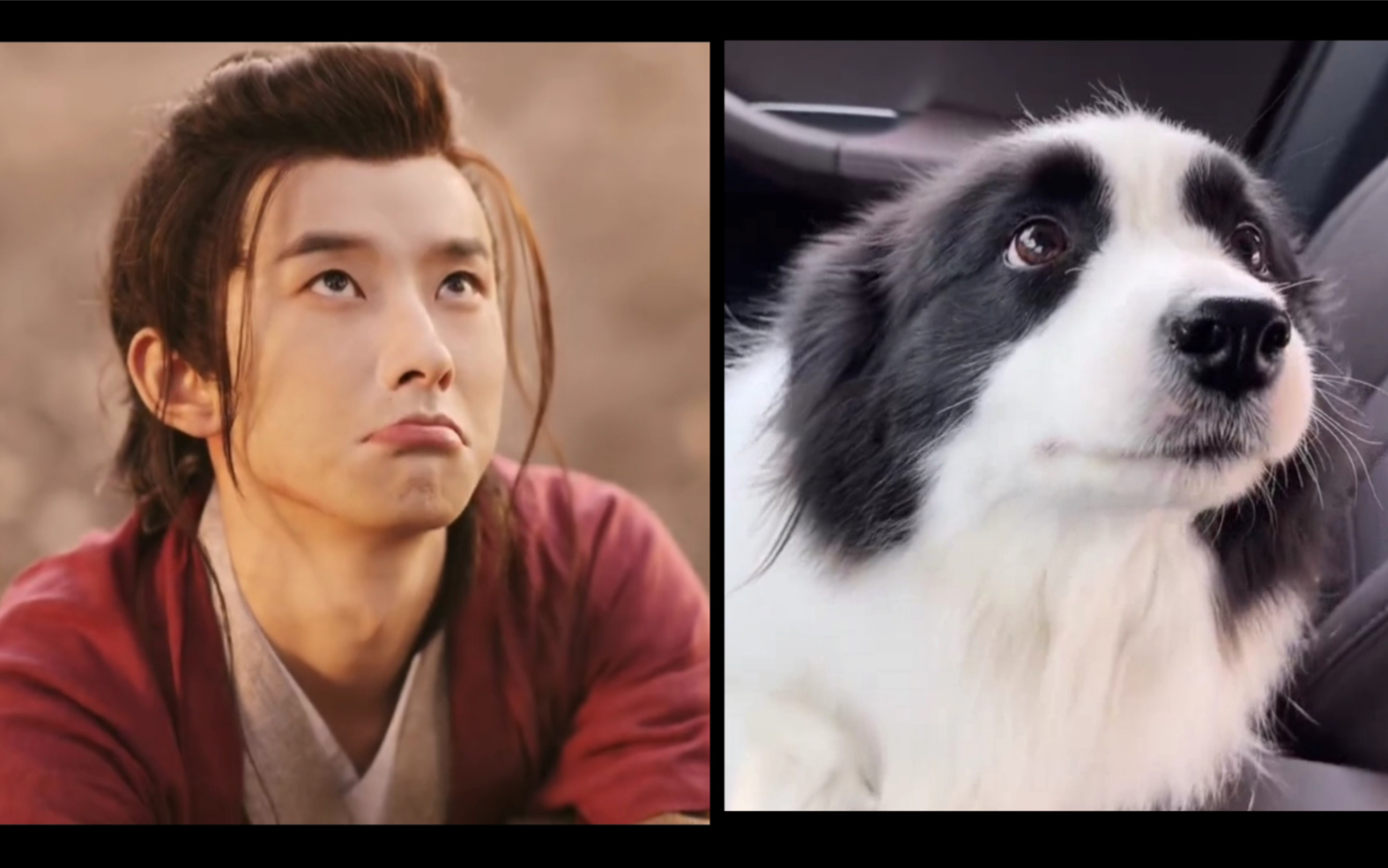 传下去,锦超是只修狗勾!_哔哩哔哩_bilibili