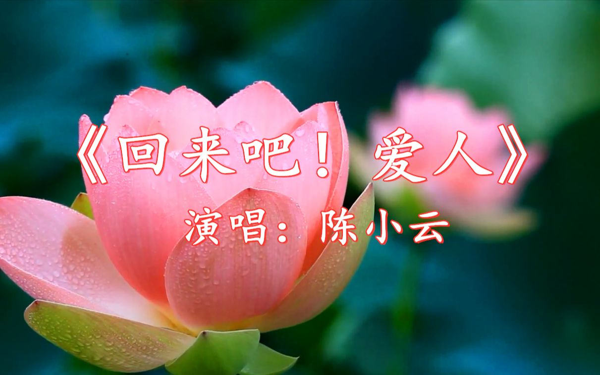 陈小云演唱《回来吧!爱人》动人歌声 优美旋律 百听不厌 太经典