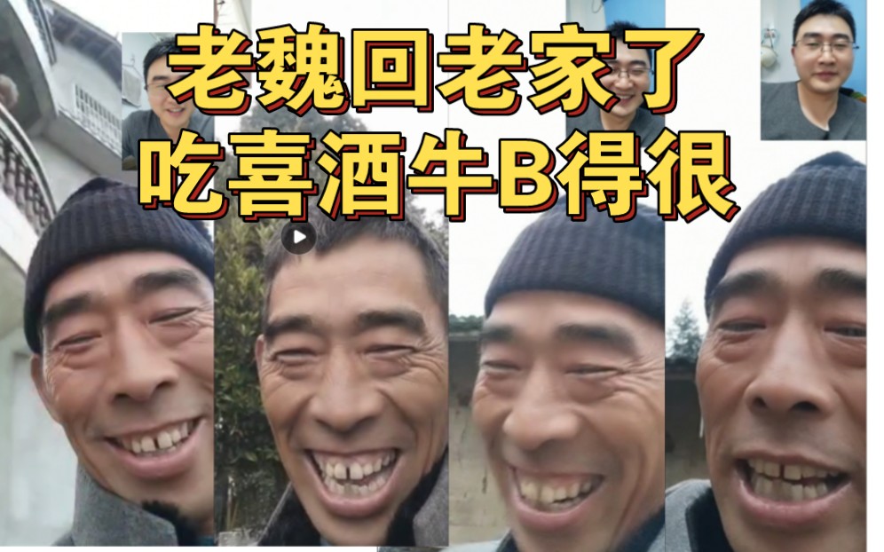 老魏回老家后续哔哩哔哩bilibili