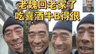 老魏回老家后续
