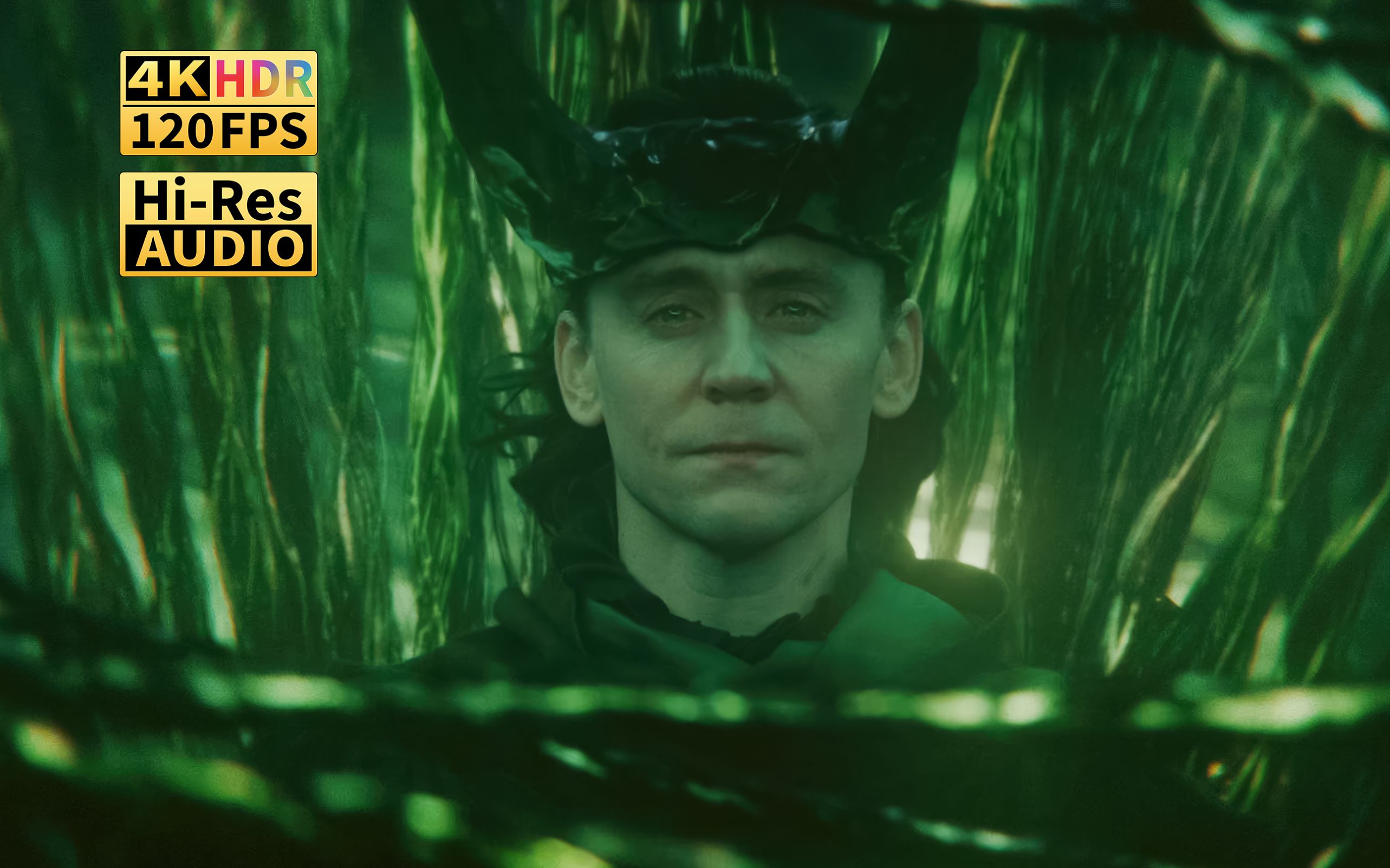 【3036·333933 373836313134