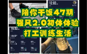 Descargar video: 陪你干饭47期：强风2初体验，小跑宁波日湖公园，甬江绿道，聊聊打工训练生活