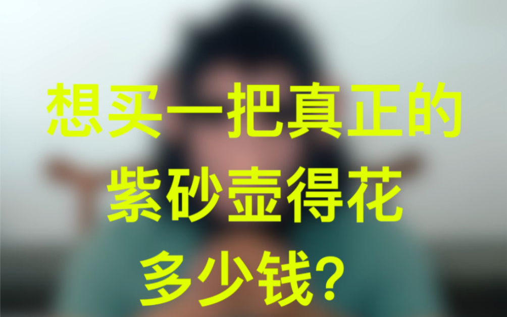 买一把真正的紫砂壶得花多少钱?哔哩哔哩bilibili