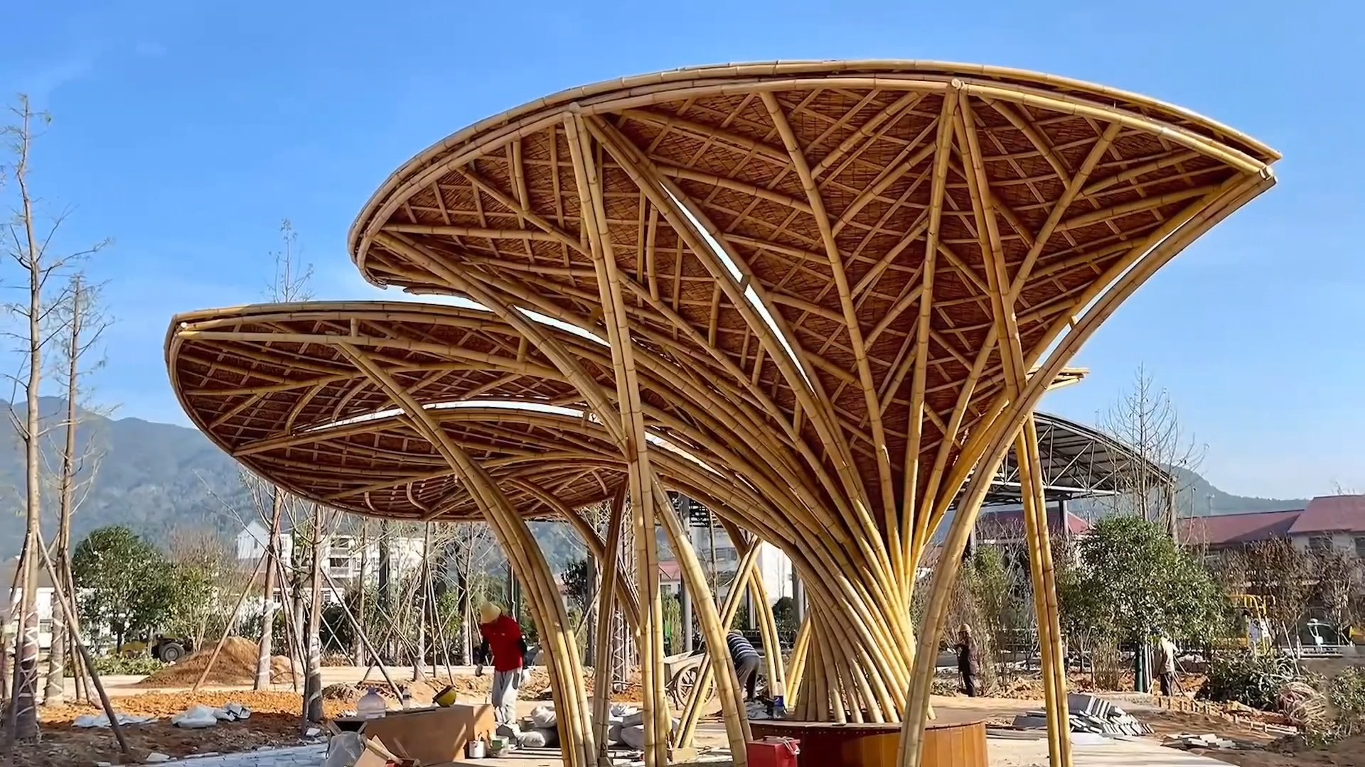 welcome首页耀彩网郑文灿因贪污考查请辞海基会董事长，政事风云复兴(郑文焯书法作品)