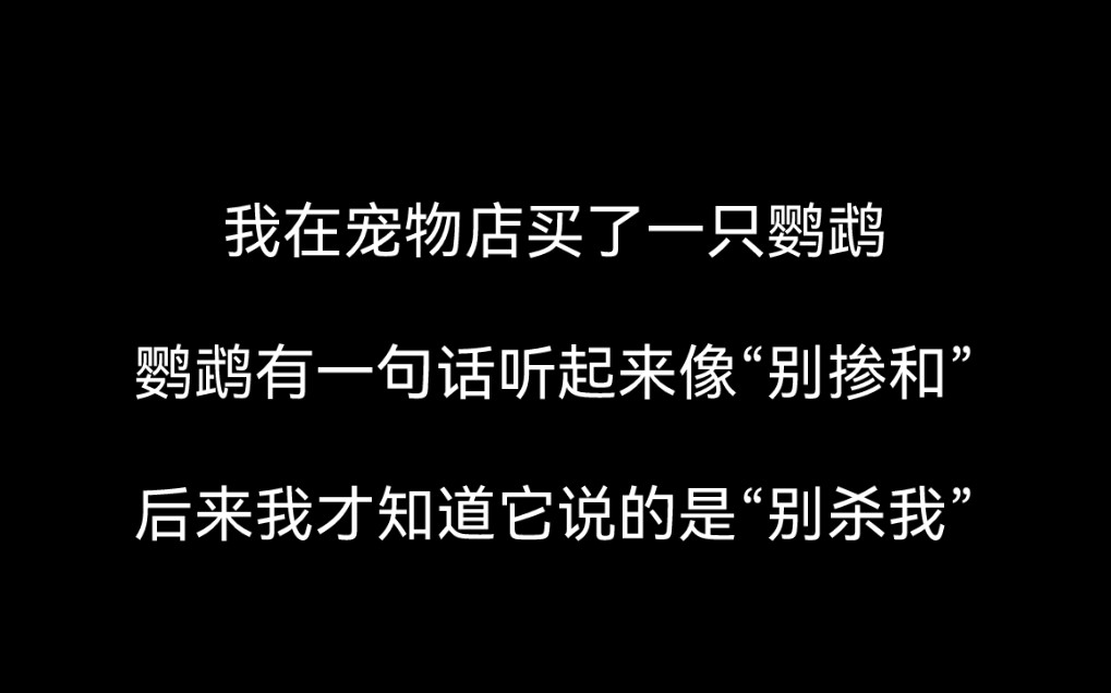 [图]【全文 | 悬疑】我在宠物店买了一只鹦鹉，鹦鹉有一句话听起来像“别掺和，后来我才知道它说的是“别杀我”......