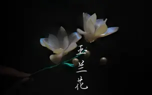 Descargar video: 【热缩片教程】改版玉兰花教程