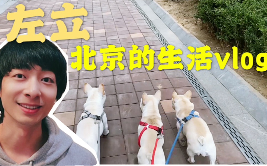 左立 北京的生活vlog哔哩哔哩bilibili