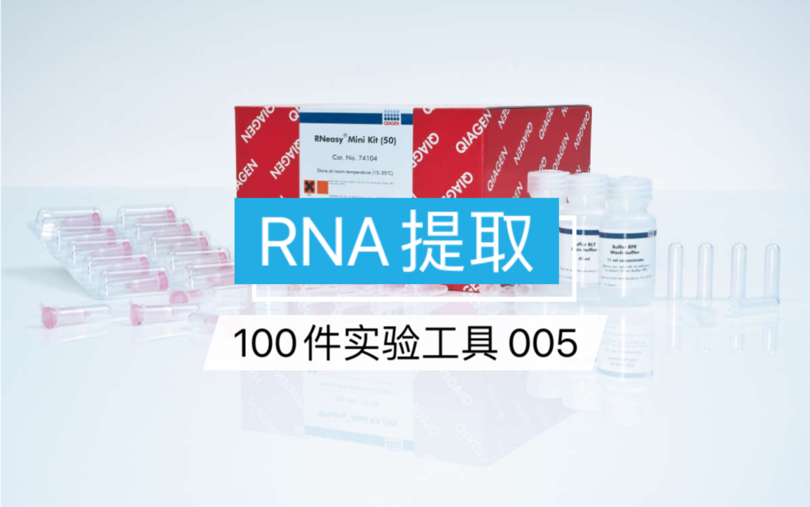 如何完成一次很赞的RNA提取的实验操作(下)哔哩哔哩bilibili